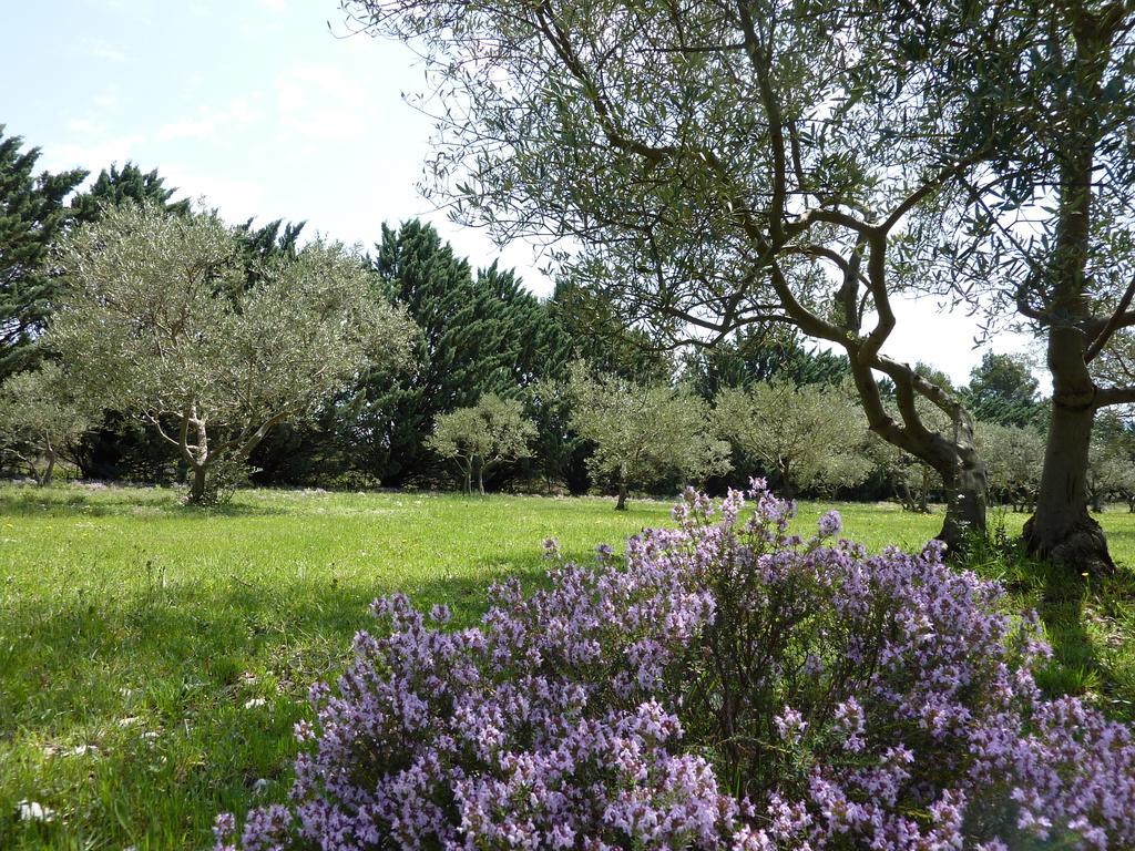 Les Mazets Du Luberon Bed & Breakfast Puget Exterior foto